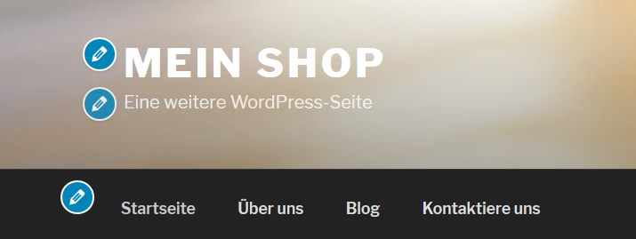 WordPress anpassen